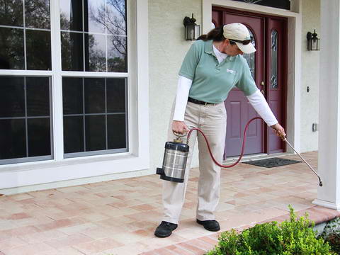 Pest Control FAQ’s 
